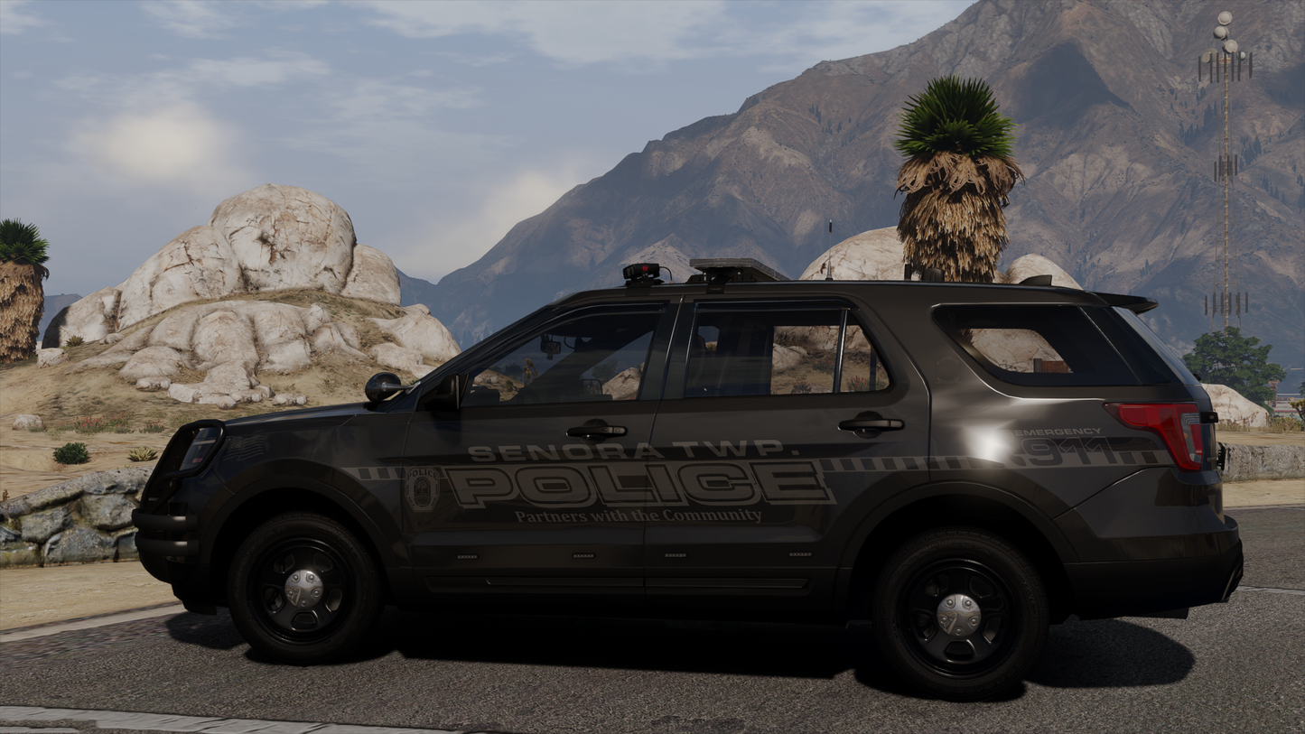 Senora Township Police Livery Pack