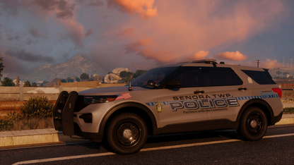 Senora Township Police Livery Pack