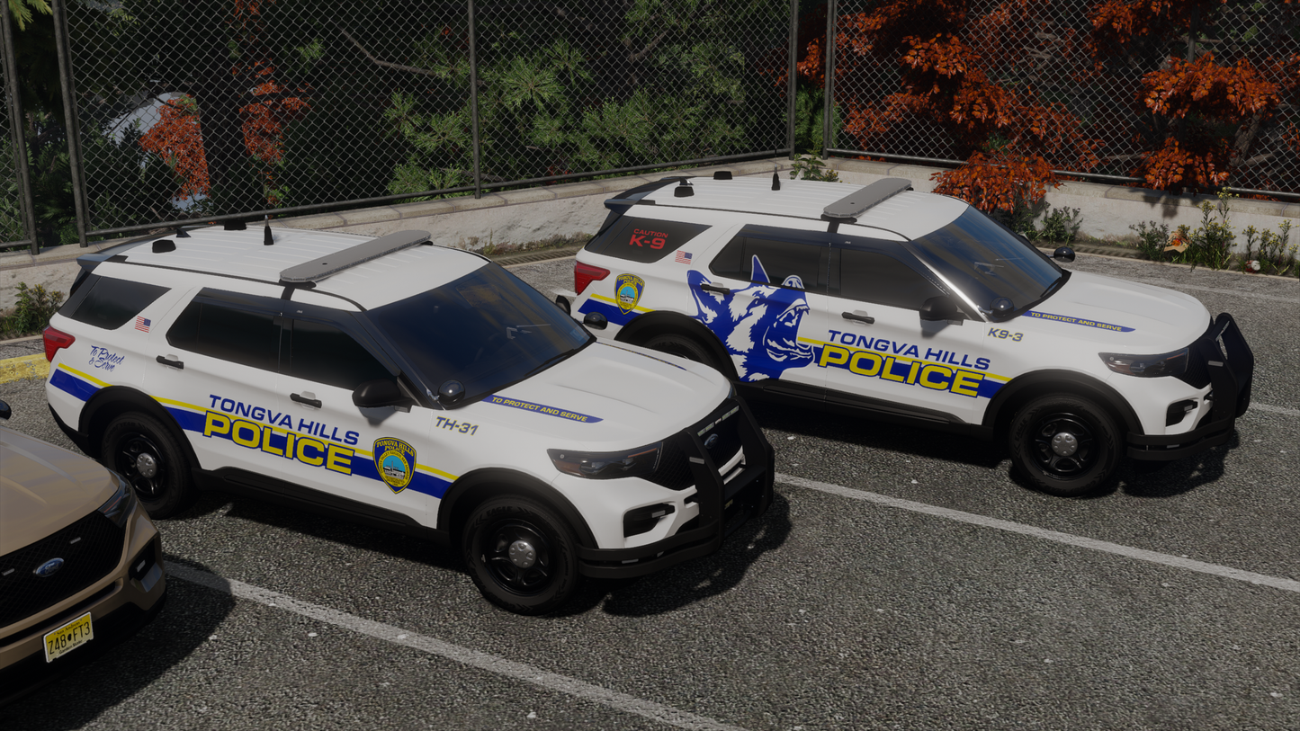 Johnstown Police Based Livery Pack