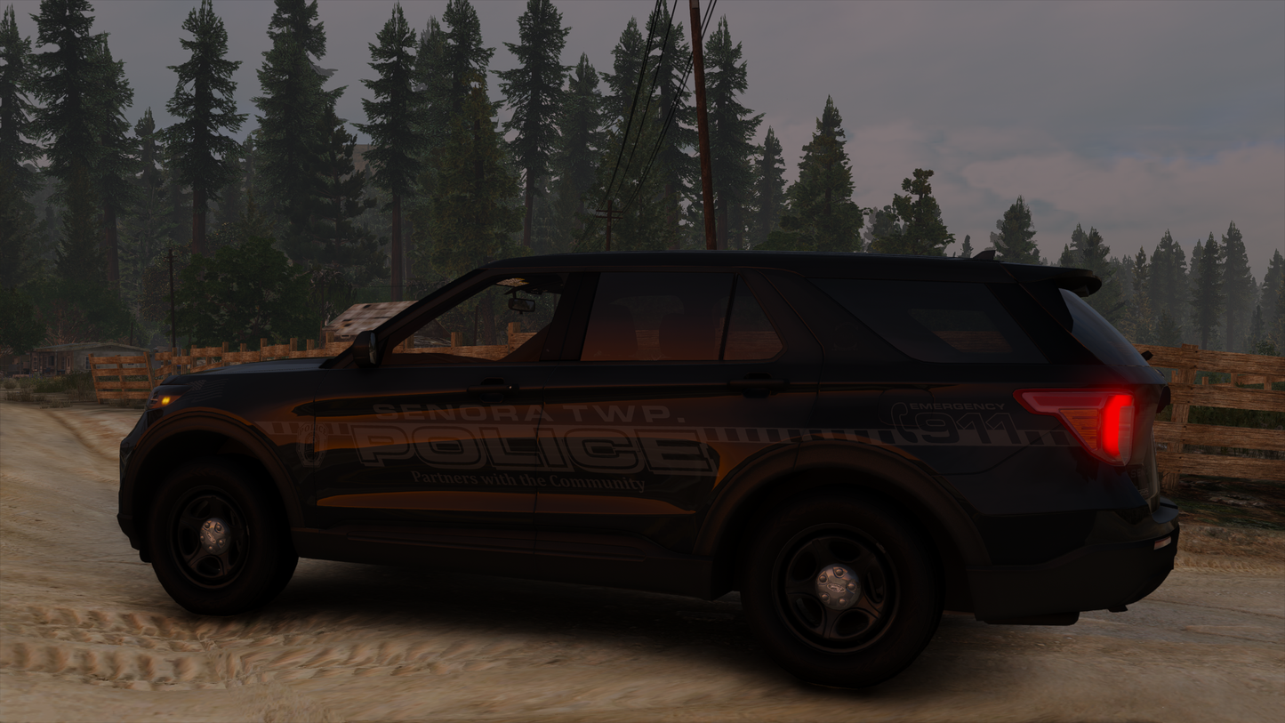 Senora Township Police Livery Pack