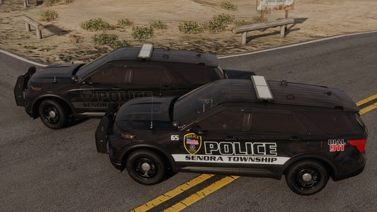 Senora Township Police Livery Pack