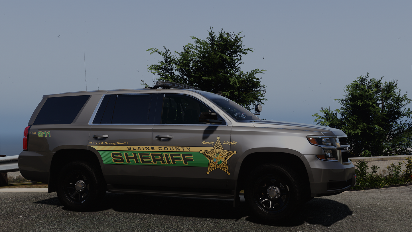 Gadsden County Sheriff Based Livery Pack